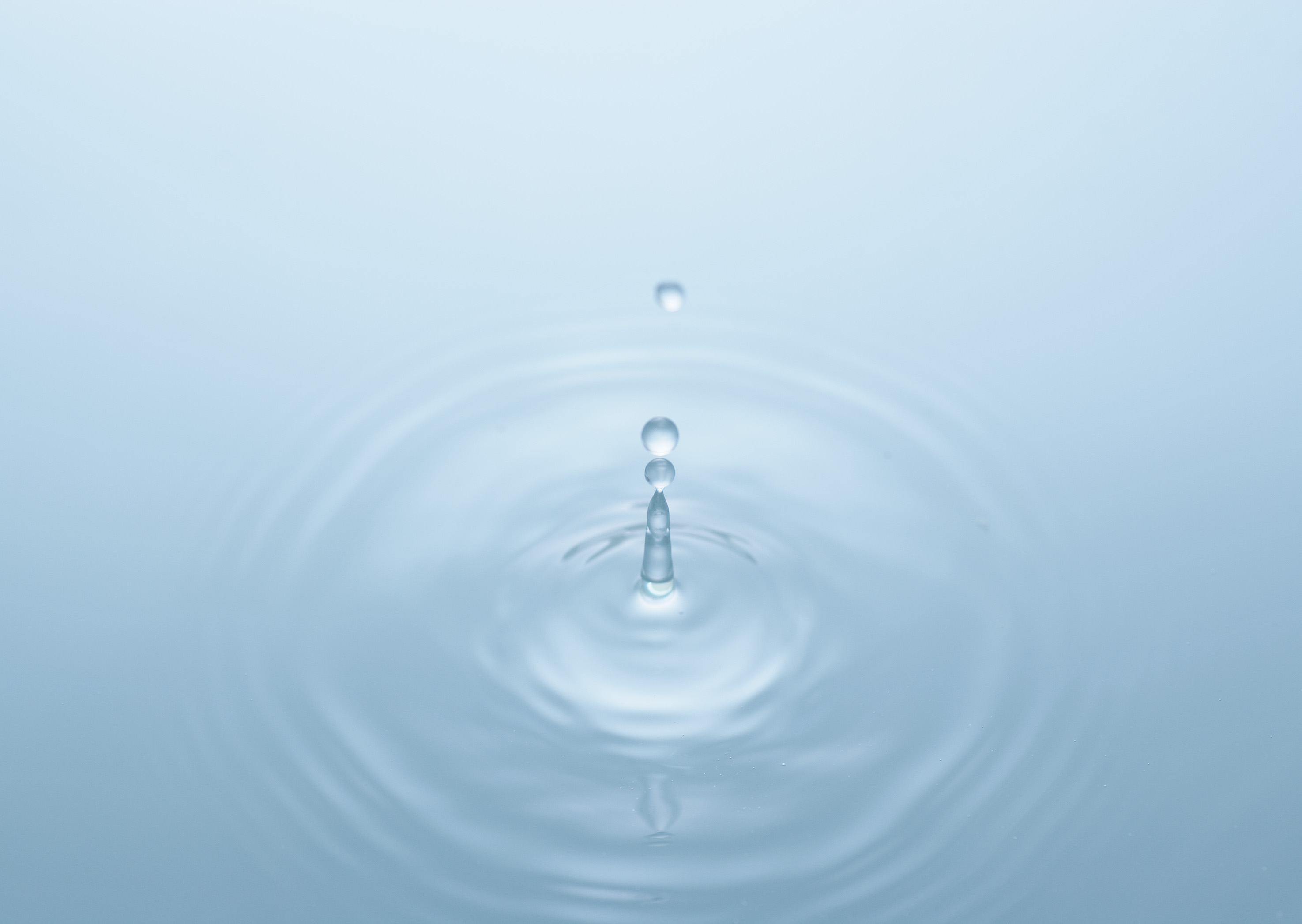1c68a5519720f306e8abc00521dd1d6d.jpg
